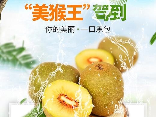壮乡河谷详情