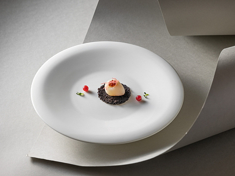 会所意境菜|深圳珠江皇冠假日酒店×玩味拾光