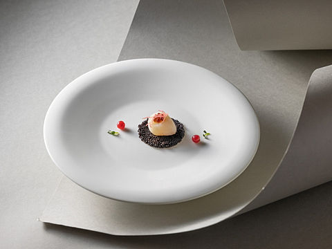 会所意境菜｜深圳珠江皇冠假日酒店×玩味拾光 