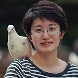 msdarcy的头像