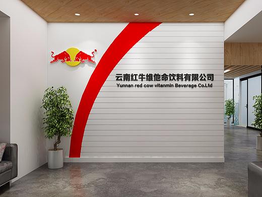 某品牌形象墙体制作