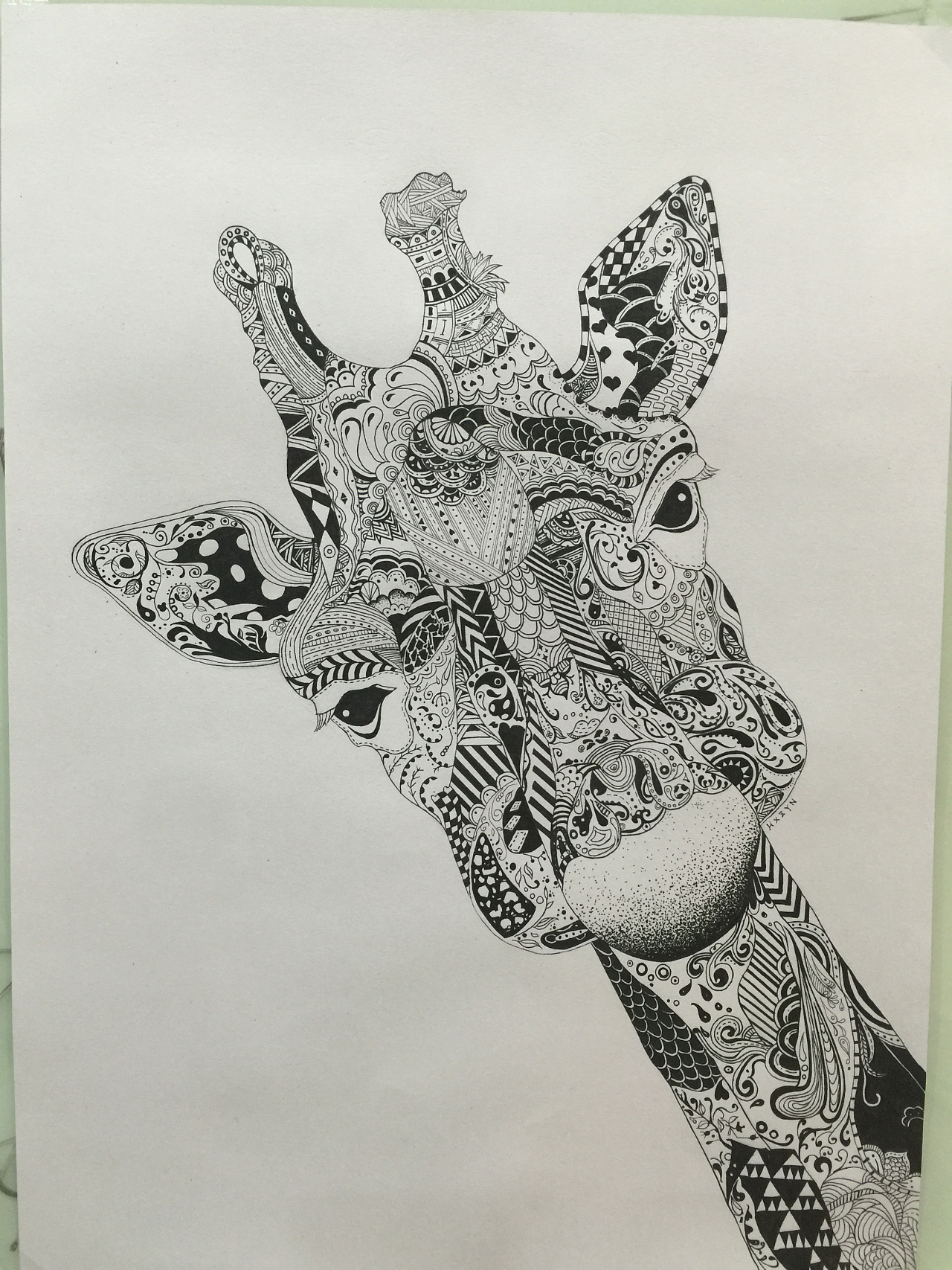 一只长颈鹿黑白风格凝视长脖子进化犄角耳朵