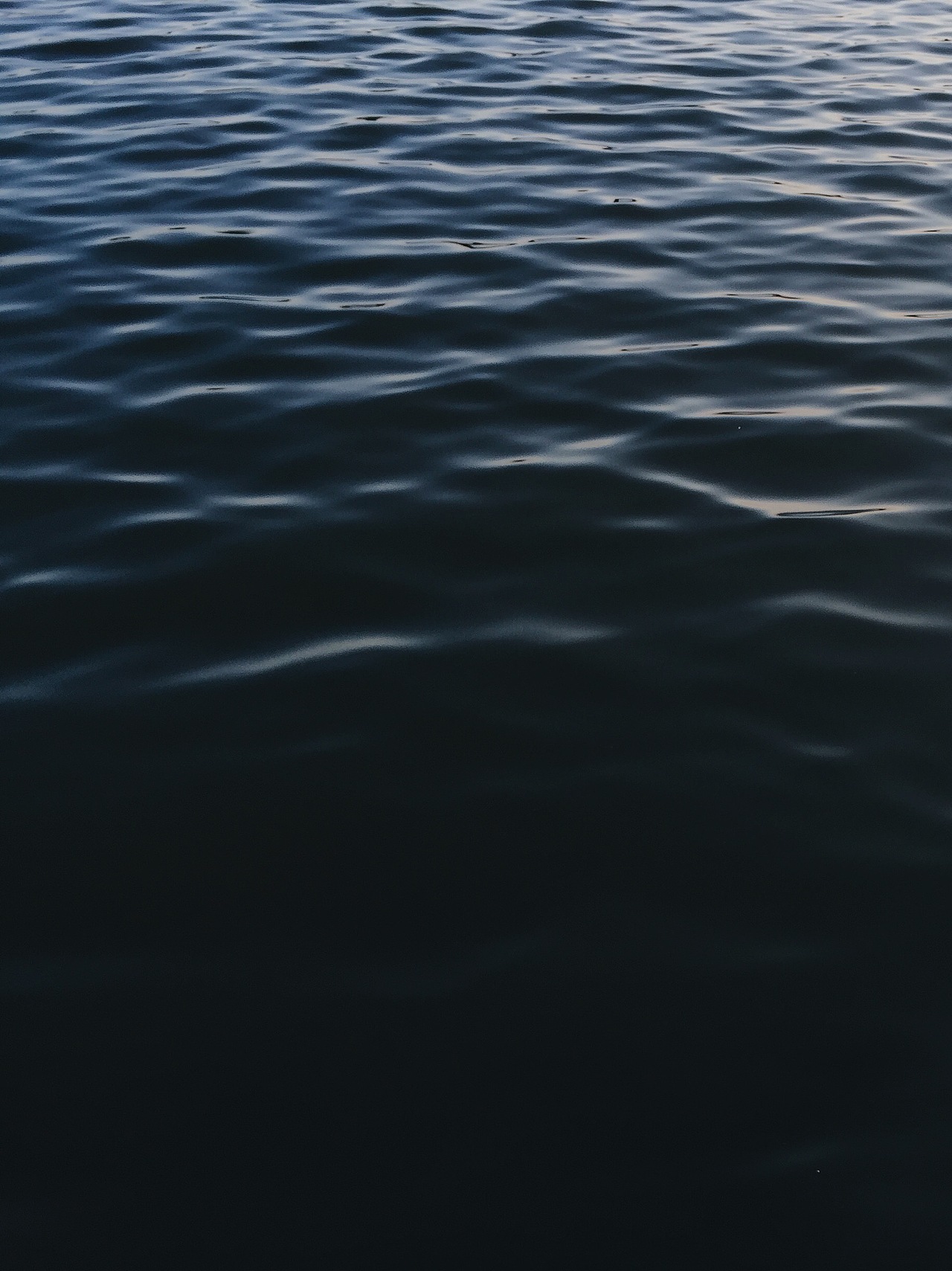 手机里的2016（图ZNjcyMTgzNTY=） - 人文/纪实摄影 - 站酷设计师Rimo原创素材 - 站酷ZCOOL