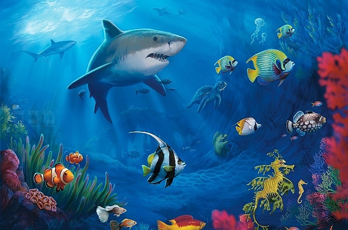 海底世界图片大全墙绘图片