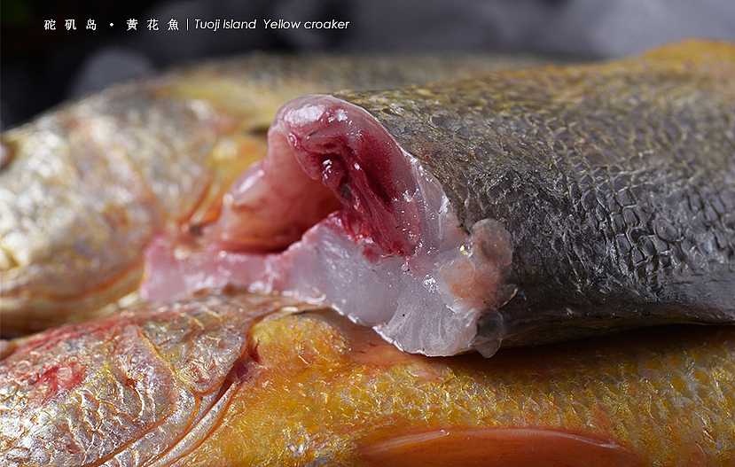 砣矶岛【金鲳鱼、黄花鱼、比目鱼】（图ZNTg0Njc0NTI=） - 产品摄影 - 站酷设计师摄影师董名扬原创素材 - 站酷ZCOOL