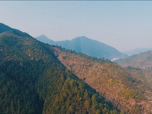 距离放假还剩2两