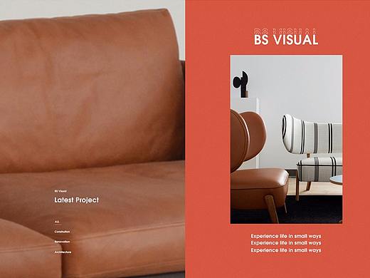 BS visual / web 项目合辑