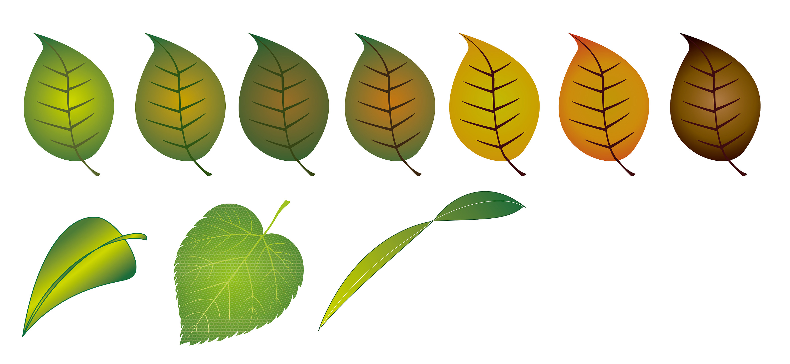 绿叶绿色的树叶免抠素材免费下载-素材vzxSyeUeU-新图网