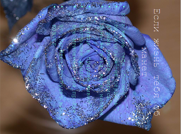 假如生活欺骗了你（图ZNzcwNjEzNg==） - 品牌 - 站酷设计师天酬原创素材 - 站酷ZCOOL