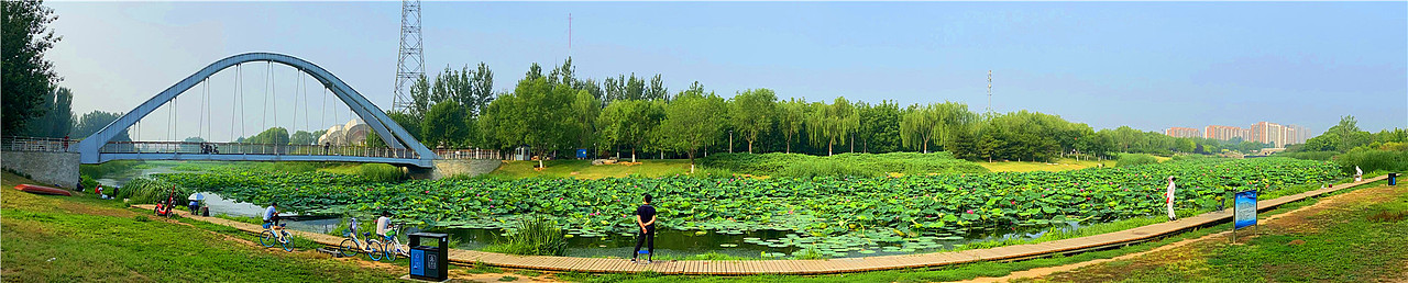 刘勇良手机纪实摄影：夏日荷塘（图ZMjE1MTA5OTc2） - 人文/纪实摄影 - 站酷设计师刘勇良意创书设原创素材 - 站酷ZCOOL