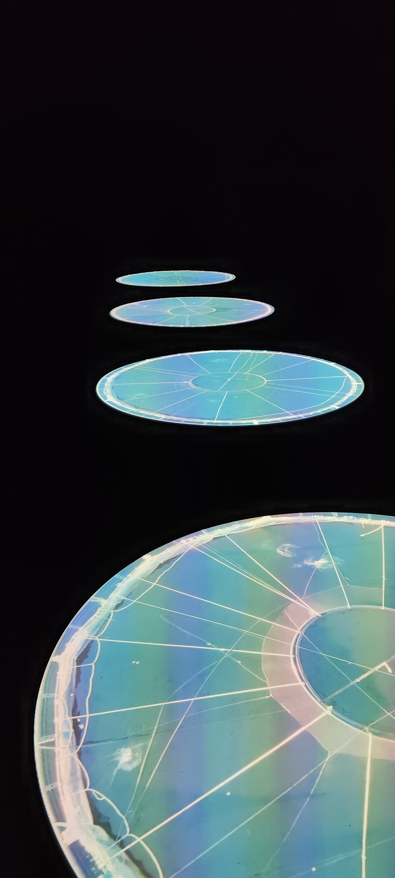 双年展2021摄影记录（图ZMjUzMzQwMzE2） - 修图/后期 - 站酷设计师伪英雄z原创素材 - 站酷ZCOOL