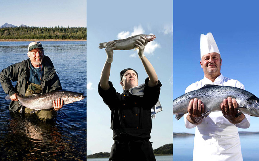 水产LOGO、VI设计 水产包装设计（图ZMjM5OTg3MTI=） - 品牌 - 站酷设计师HIBONA海右博纳原创素材 - 站酷ZCOOL