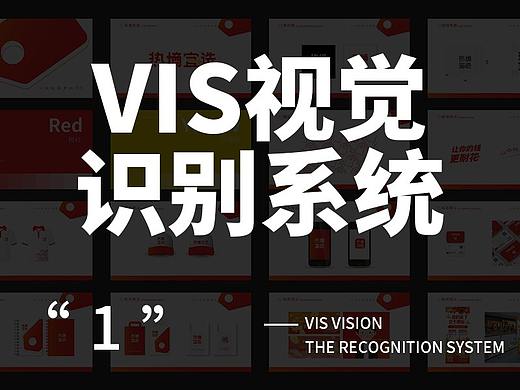 VIS视觉识别系统