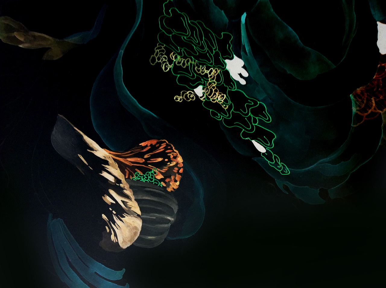 个人插画合集（图ZNzQwNDc4OTI=） - 创作习作 - 站酷设计师mrslatebloomer原创素材 - 站酷ZCOOL