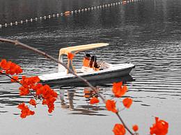 面朝大海，春暖花開