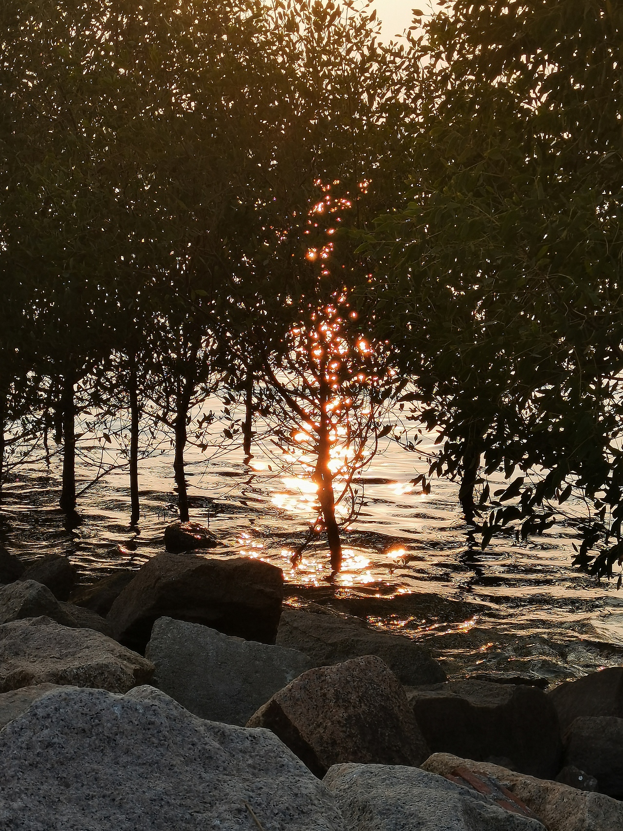 最喜日落🌅之时，似抽离于现实，浪漫，但孤寂。（图ZMjYxMTkwMDA4） - 风光摄影 - 站酷设计师阿叁叁啊原创素材 - 站酷ZCOOL