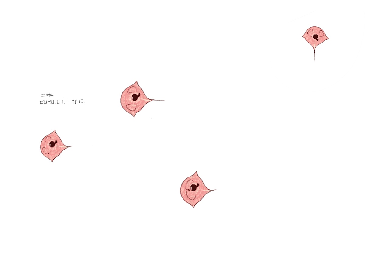 《三木》（图ZMjExMTkyNTY0） - 创作习作 - 站酷设计师一盘烧鹅原创素材 - 站酷ZCOOL