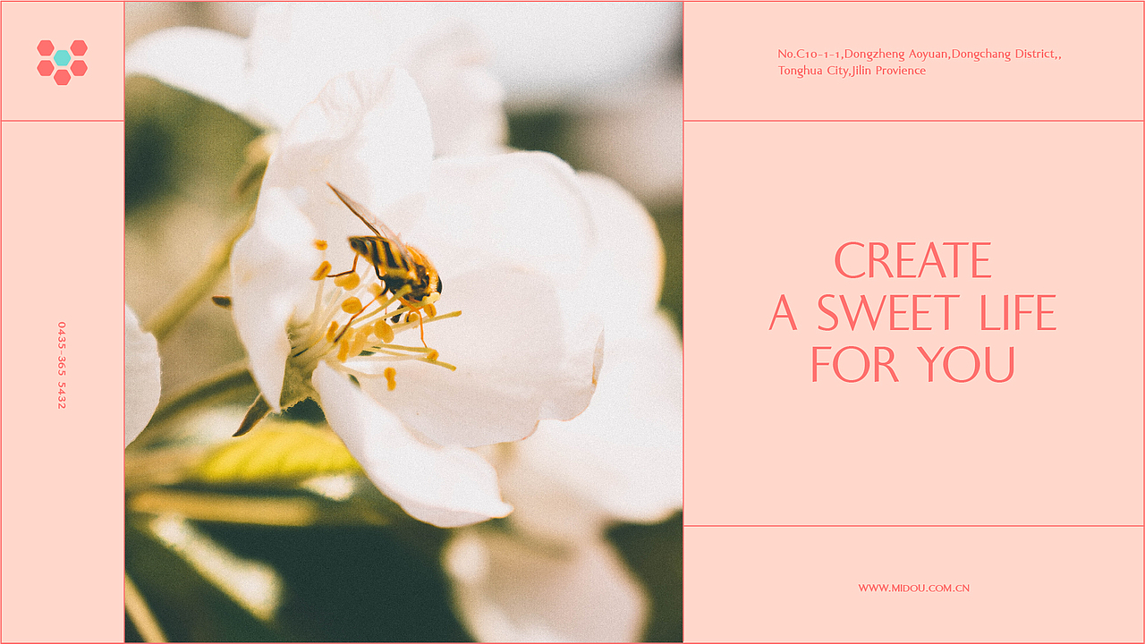 蜜兜 | 品牌设计