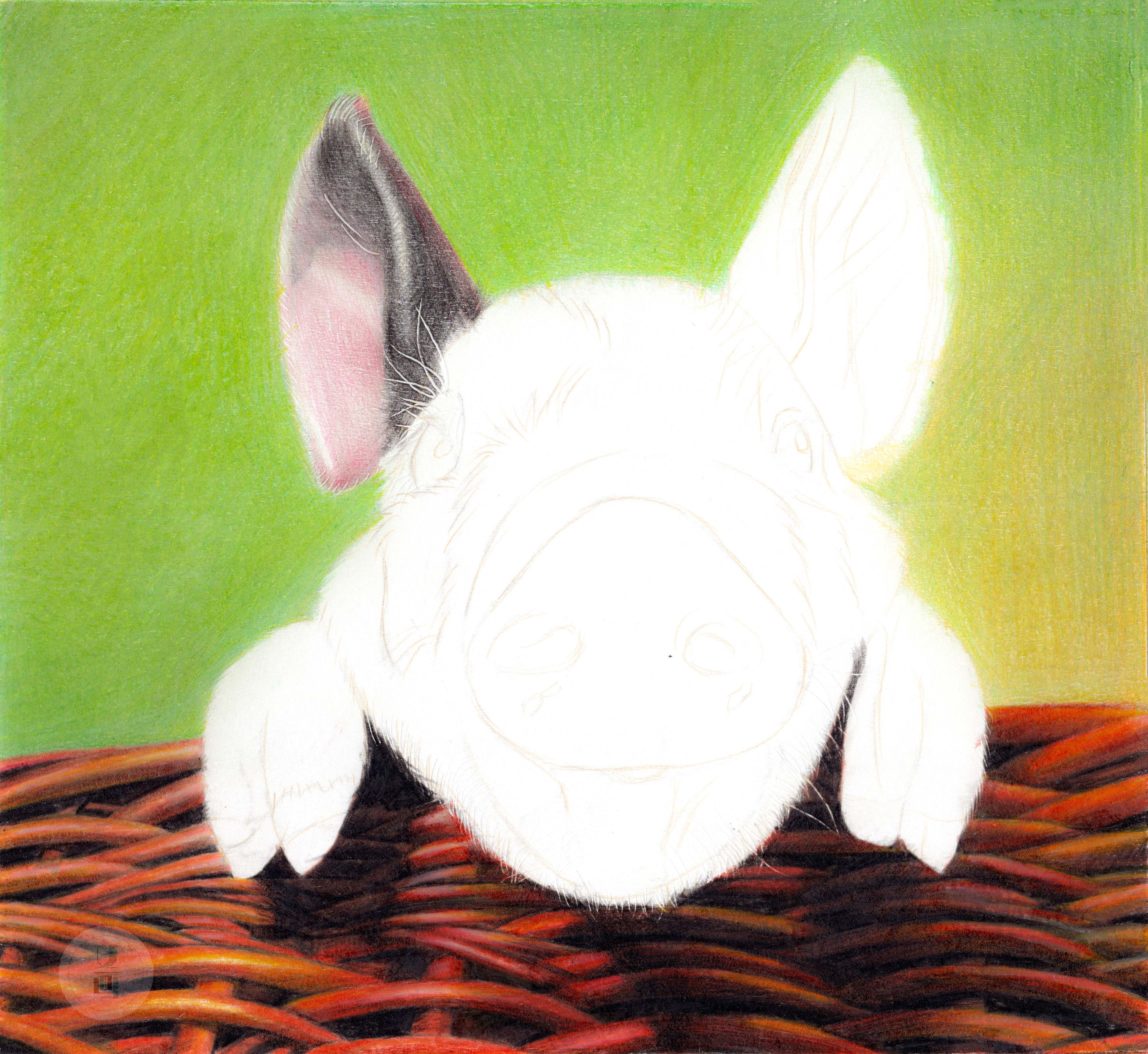 彩铅教程画2019年的第一头猪
