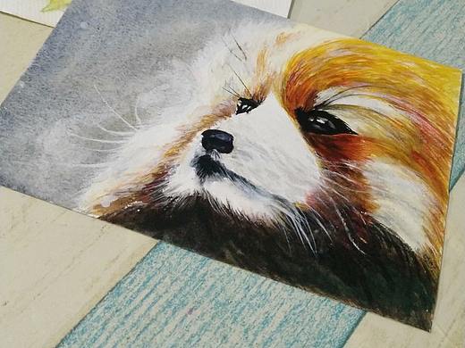 水彩-临摹一个干脆面,结果像个鼠标垫(小浣熊)