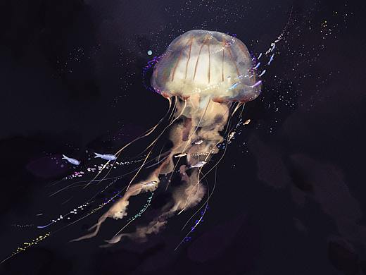 水母系列插图