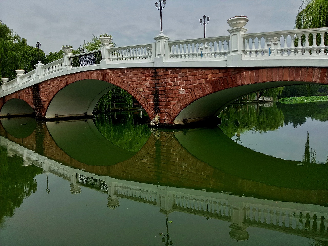 雨中的不同-它们