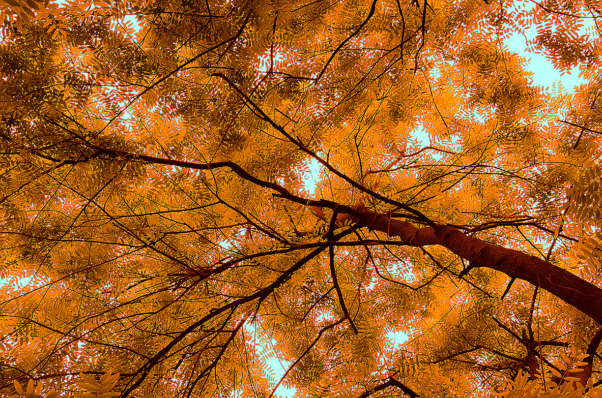 那一年 在那么美丽那么幽静的路上走过