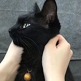 丨六六丨的头像