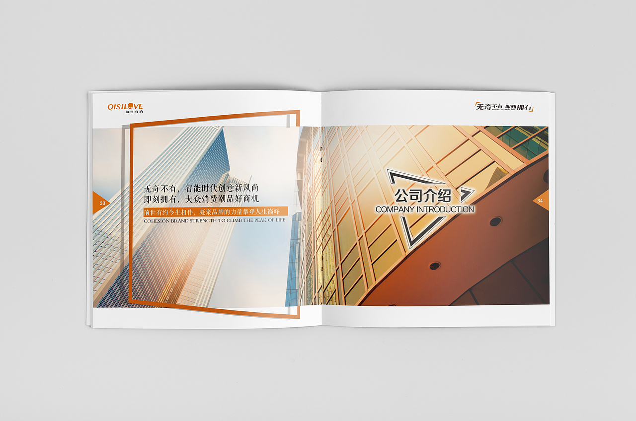 孙楚前世有约招商画册设计