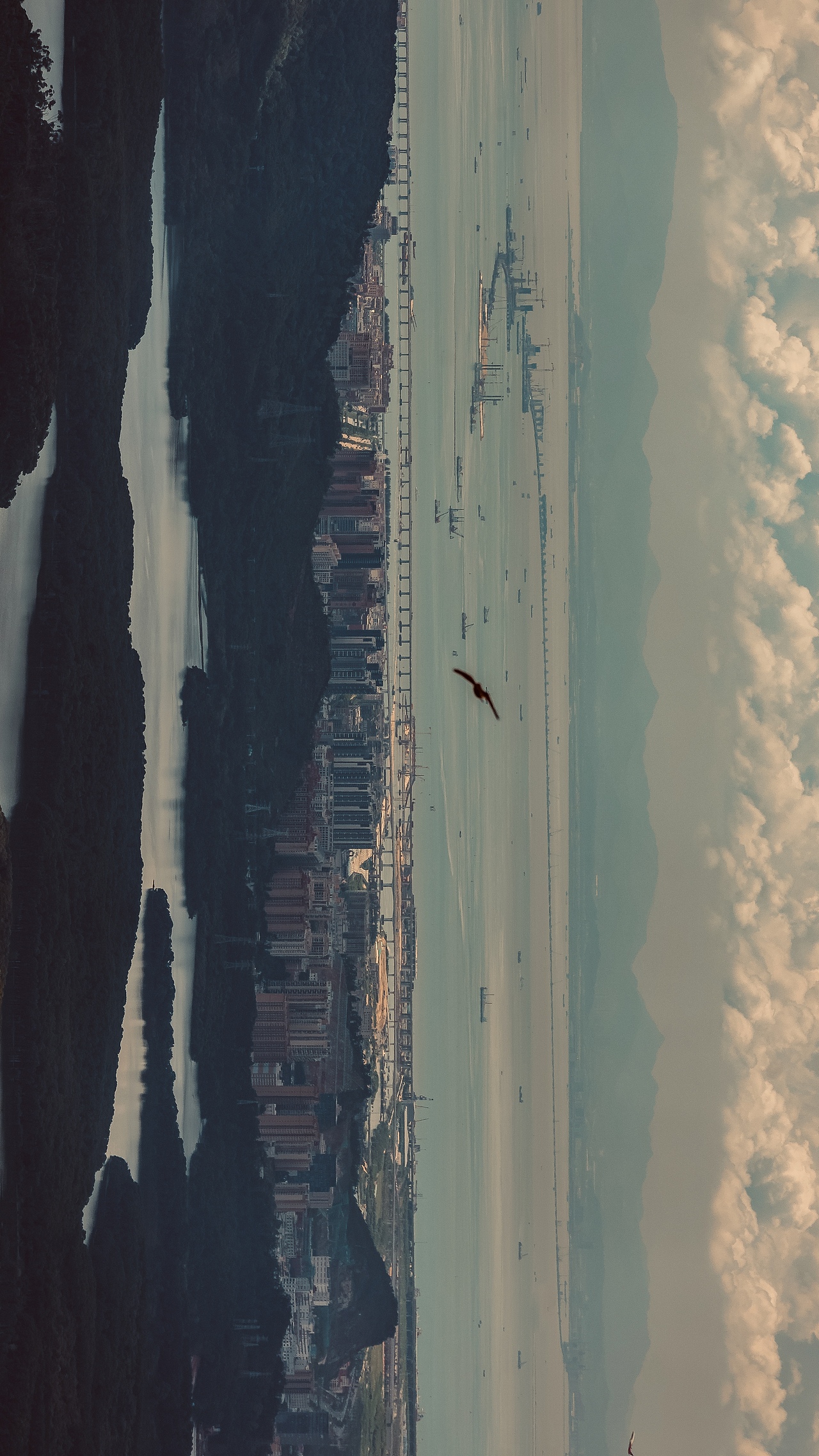 深圳湾全景纪实（图ZMjIyMDEyNzAw） - 人文/纪实摄影 - 站酷设计师拾光朝圣者原创素材 - 站酷ZCOOL