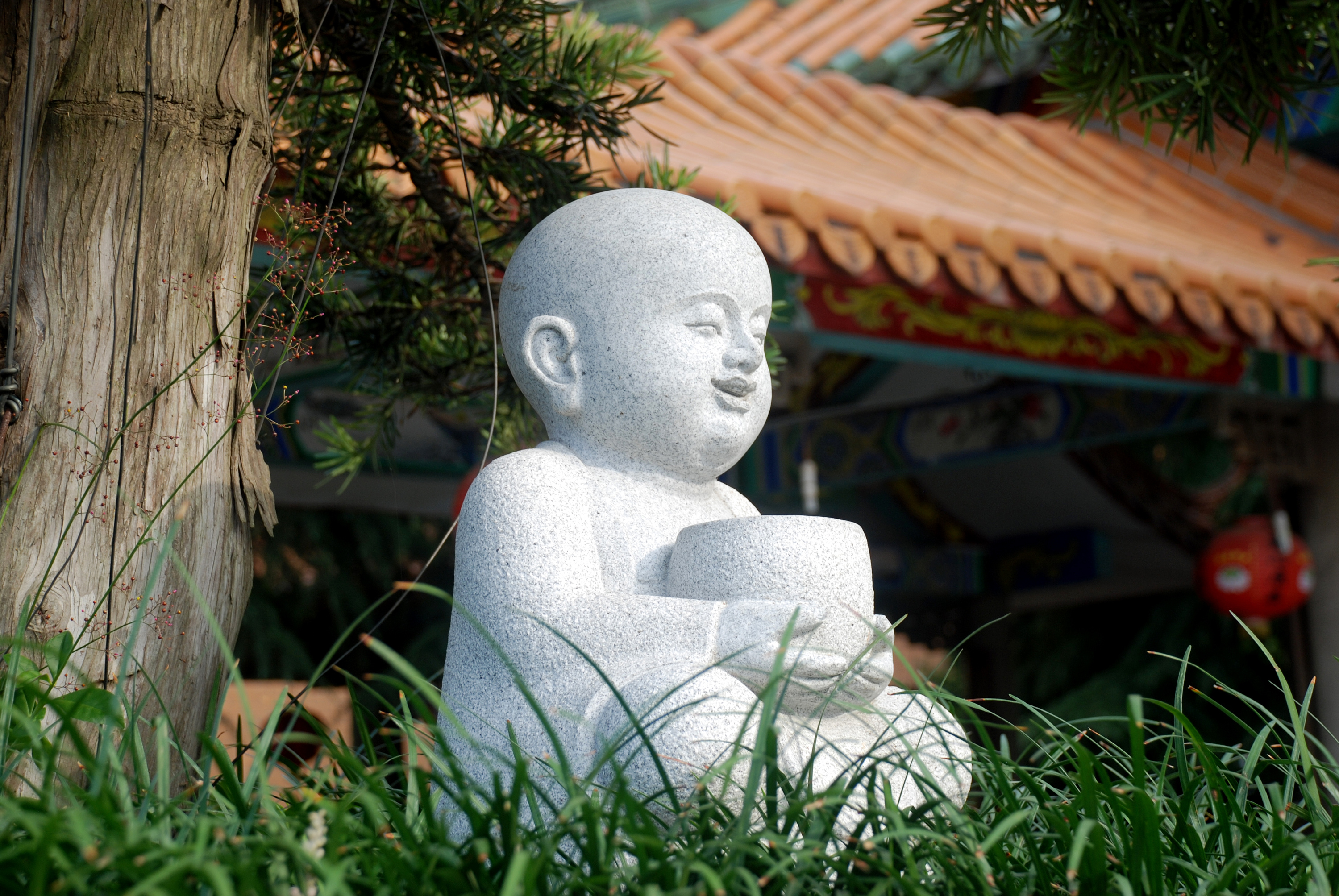 栖霞,白鹿,福源,寺庙摄影