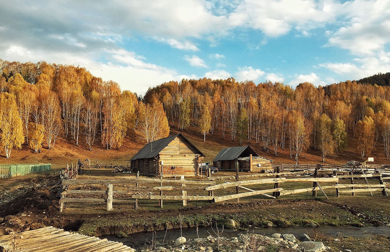 这儿的黄色有千万种