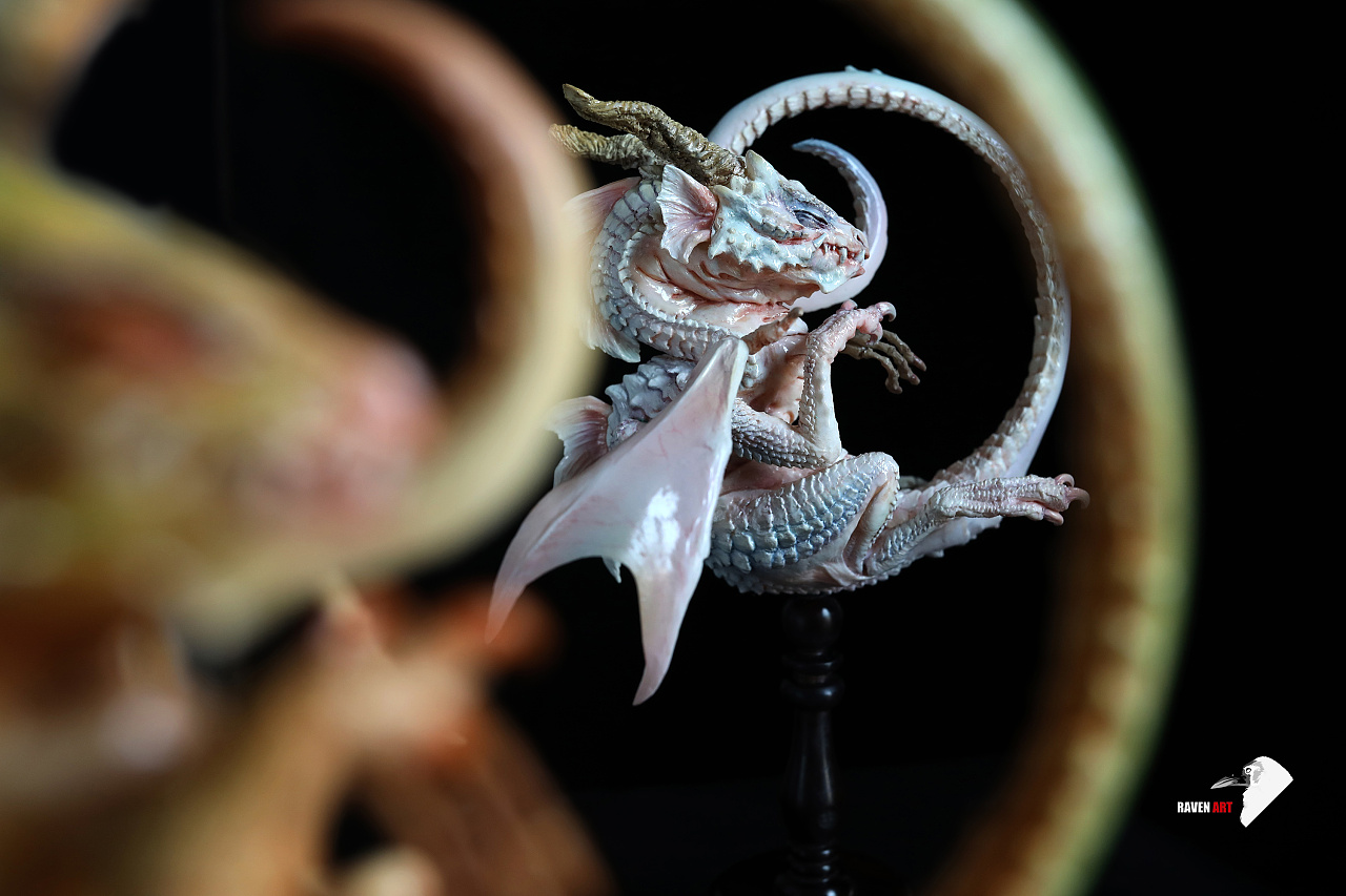 raven art-言传作品【藏谜探物02-幼龙标本】白化