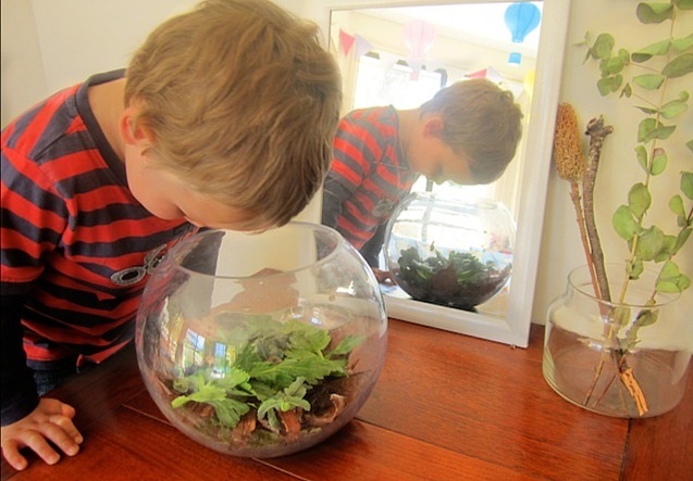 瑞吉欧.马拉古奇光和影的主题教学