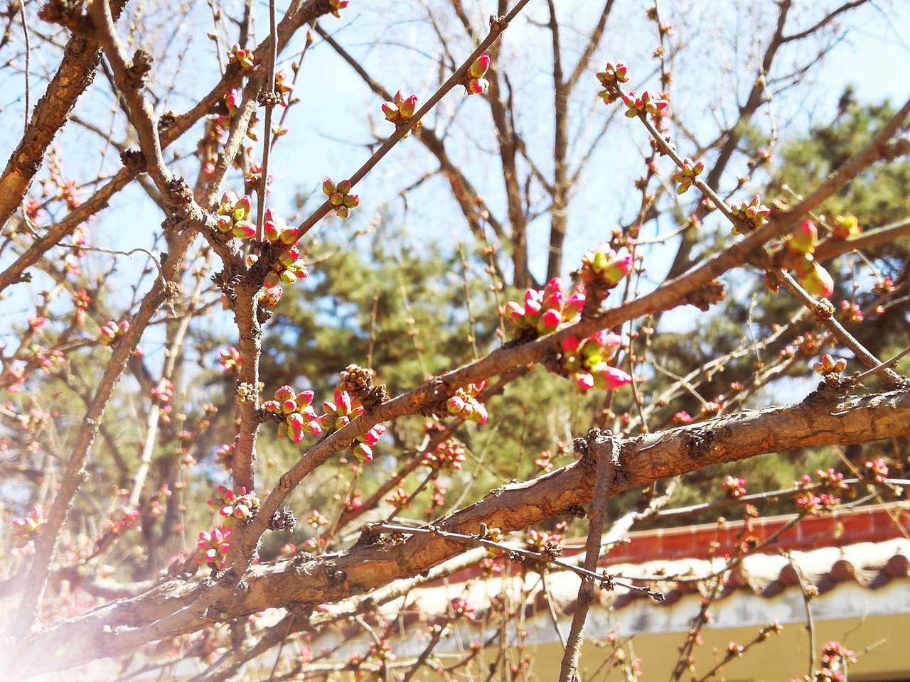 本溪 · 望溪公园