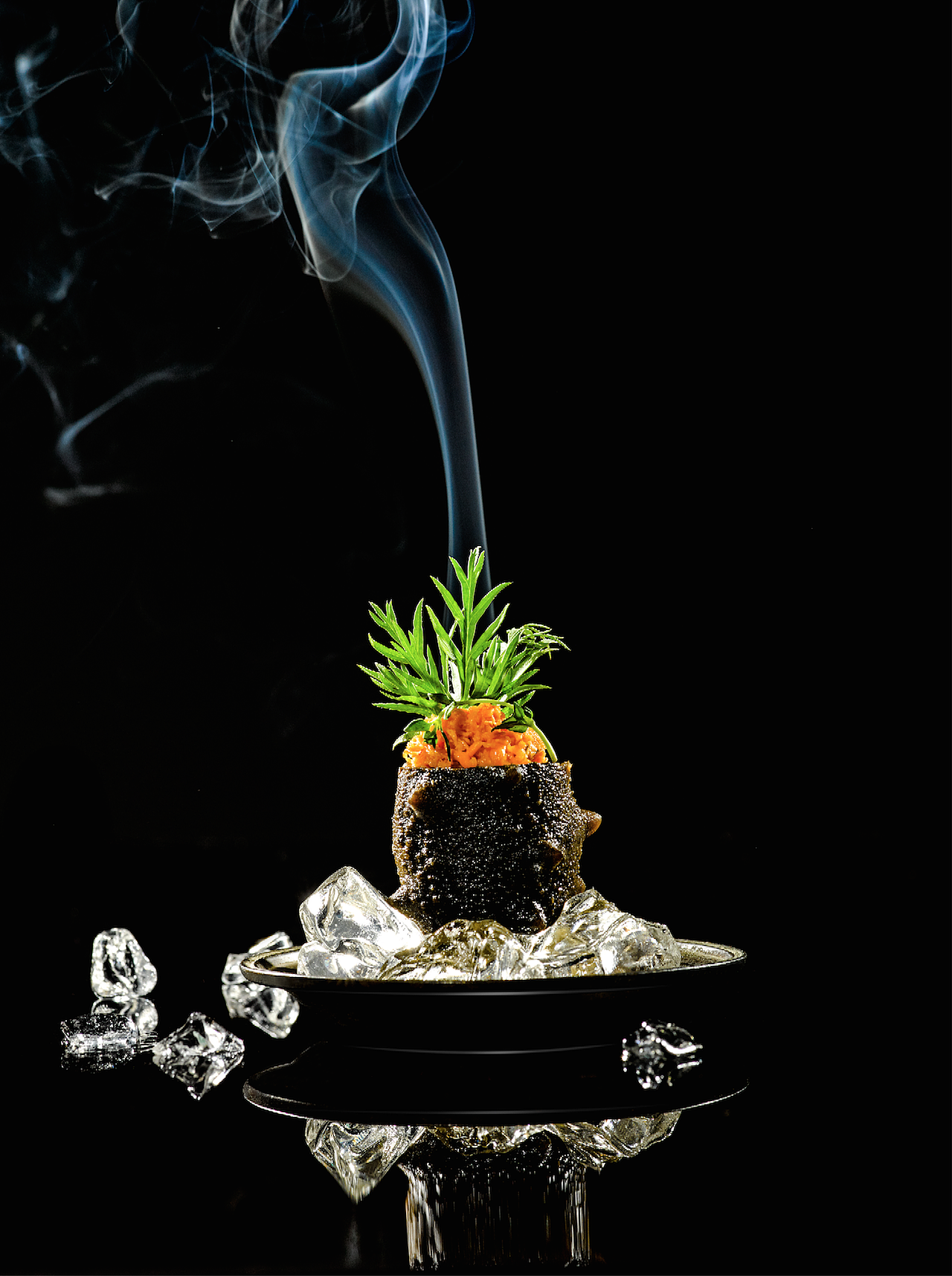 海参还能这么拍，山海藏悟 海参创意拍摄