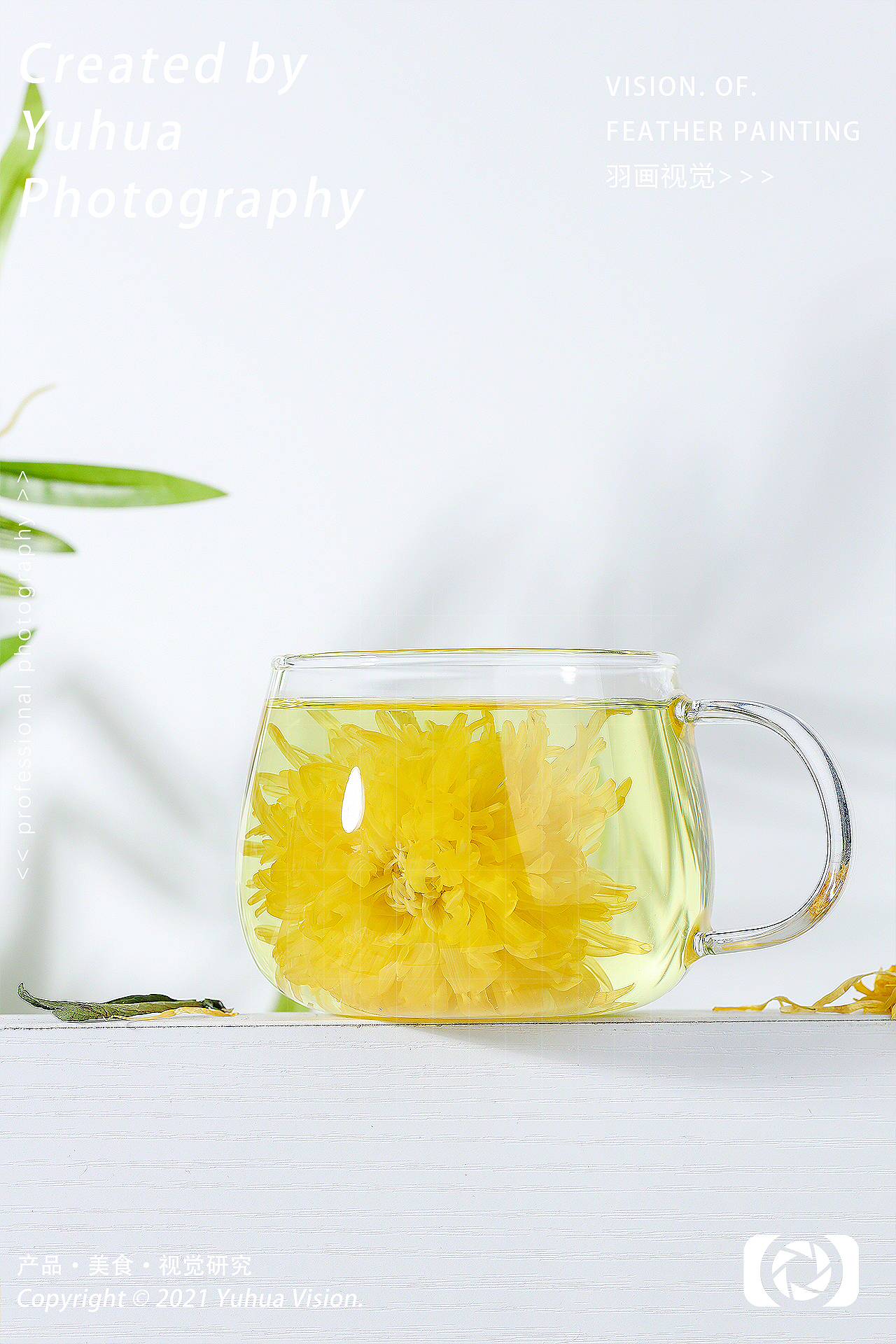 金丝皇菊花茶胎菊贡菊金银花祛火茶黄菊养生茶水花草茶（图ZMjU5NzIxMzg4） - 产品摄影 - 站酷设计师YUHUA羽画原创素材 - 站酷ZCOOL