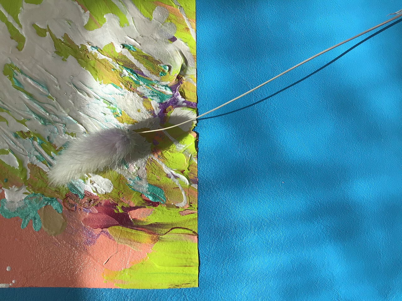 maomaori涂包纪-HIGN CLOUD edition Paint the bag!