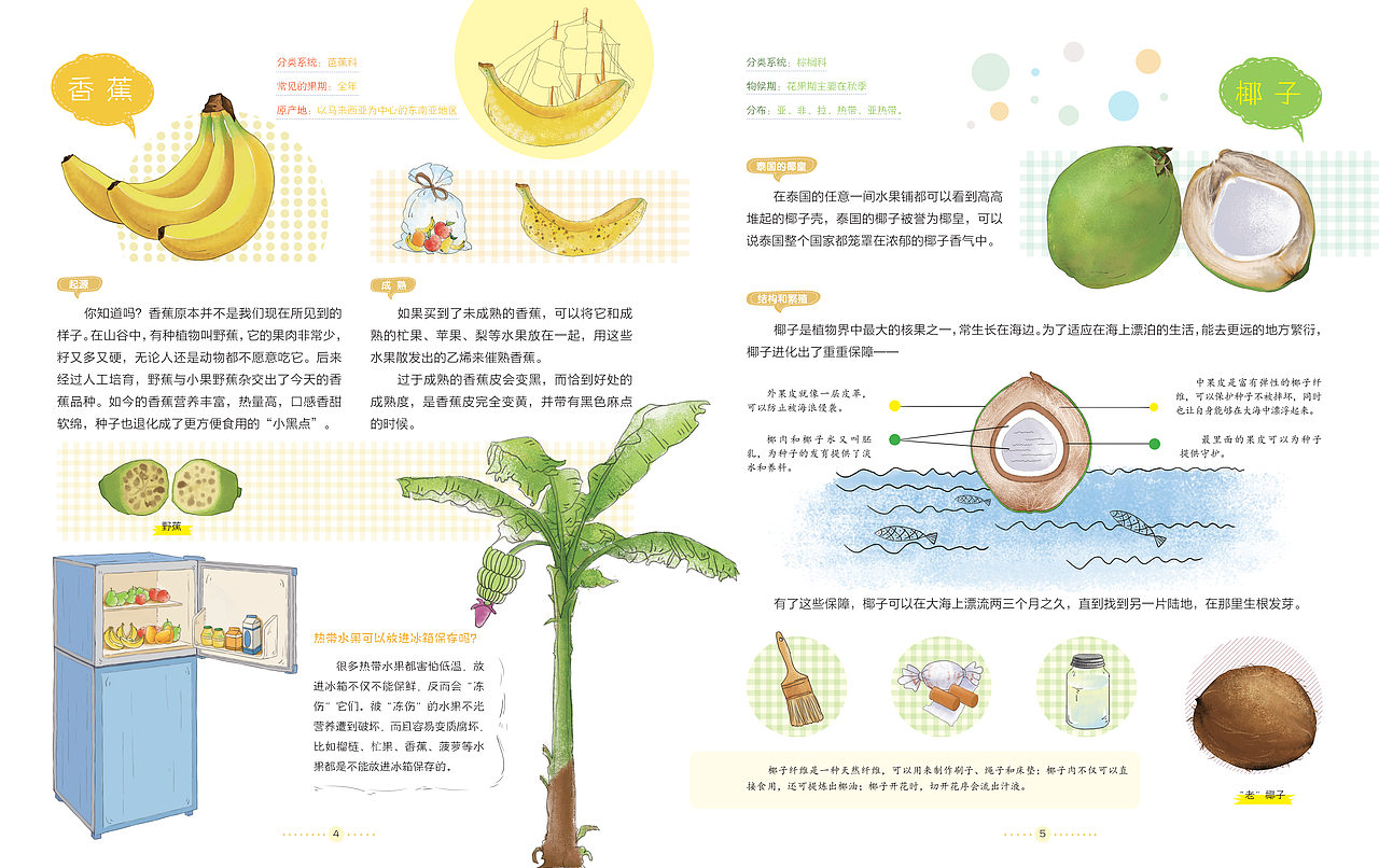去野花-水果蔬菜（图ZMjgxMzE4MTMy） - 绘本 - 站酷设计师高傲的喵原创素材 - 站酷ZCOOL