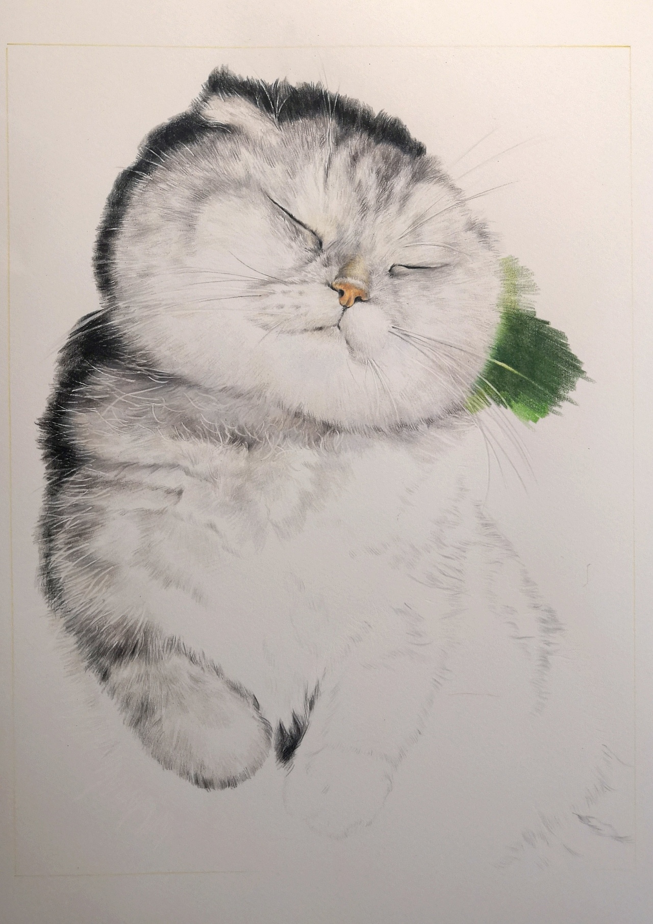 （2019.4.24）一只睡得很香的咪（图ZMTU1OTY2MDky） - 绘画 - 站酷设计师Rinka谨制原创素材 - 站酷ZCOOL