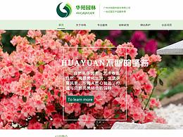 网页设计