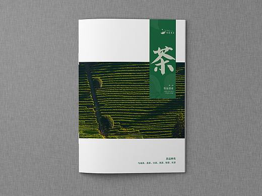 茶叶画册