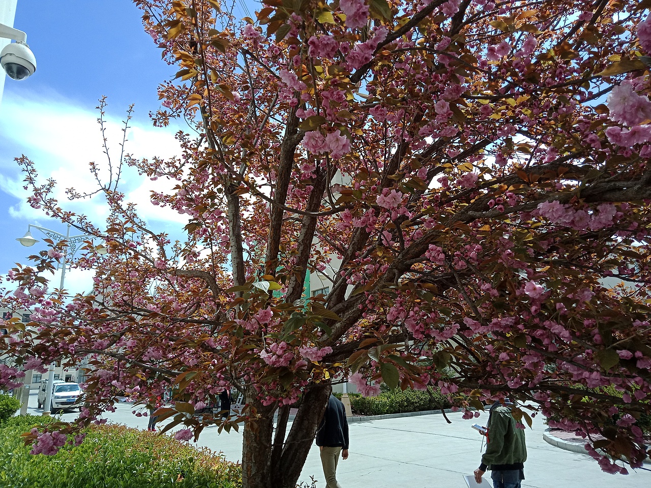 好看吗啊（图ZMTEzMzkxNDEy） - 产品摄影 - 站酷设计师ASD落原创素材 - 站酷ZCOOL