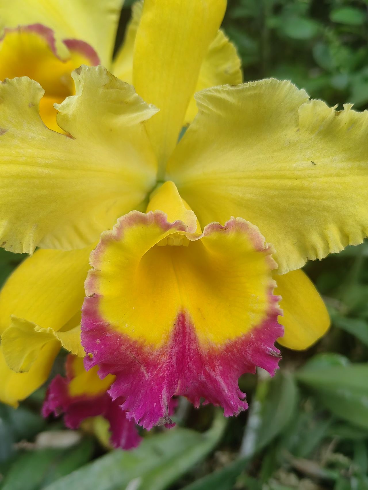 百花争艳（图ZMzY3NTcxMzMy） - 风光摄影 - 站酷设计师浓浓蜜蜂原创素材 - 站酷ZCOOL