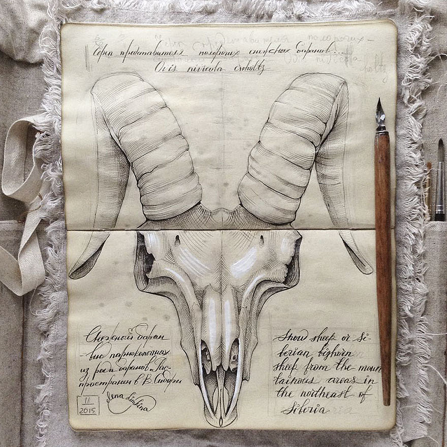 插画手绘设计。