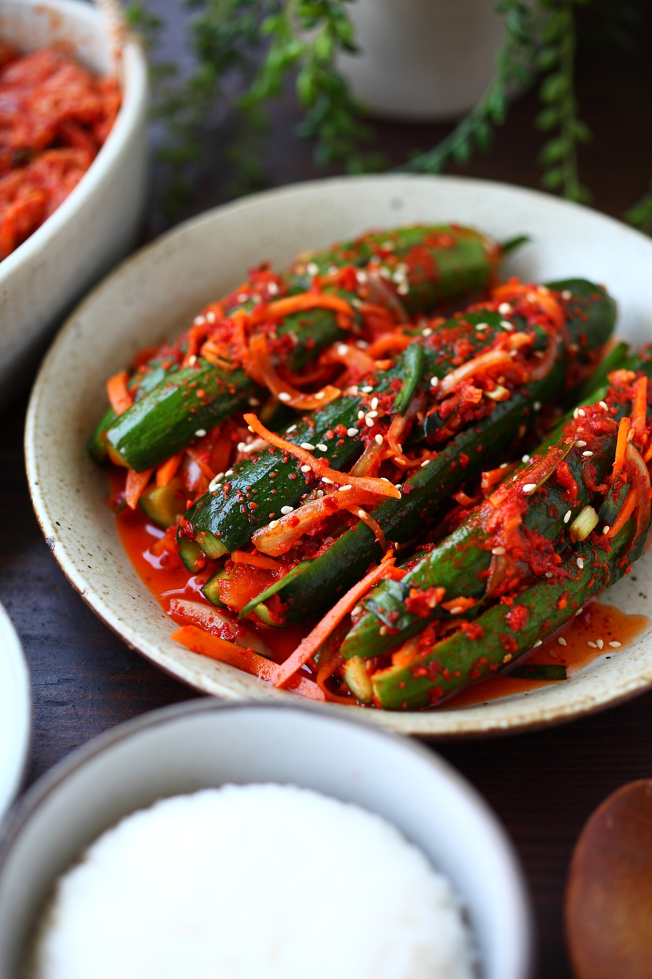 韩国辣白菜kimchi辣萝卜泡菜酿黄瓜泡菜泡菜豆腐锅