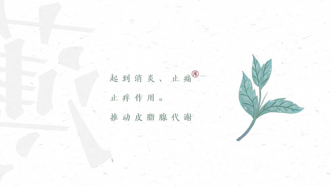 芙莉洗面奶品牌设计