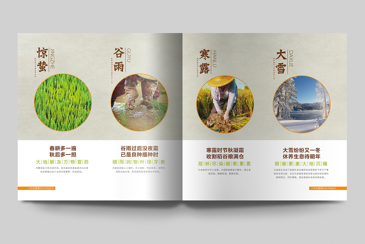 大米画册,户外广告,折页,会员卡,简洁大气,高档