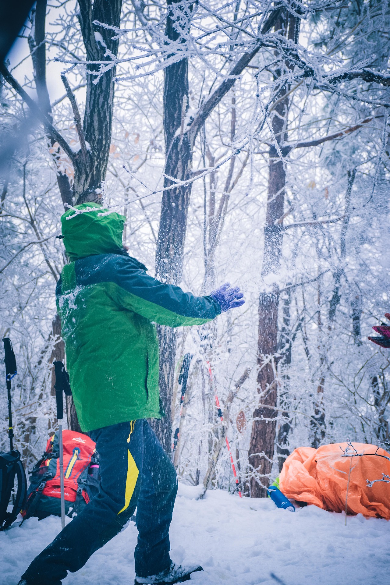 让我在雪地里再撒会儿野
