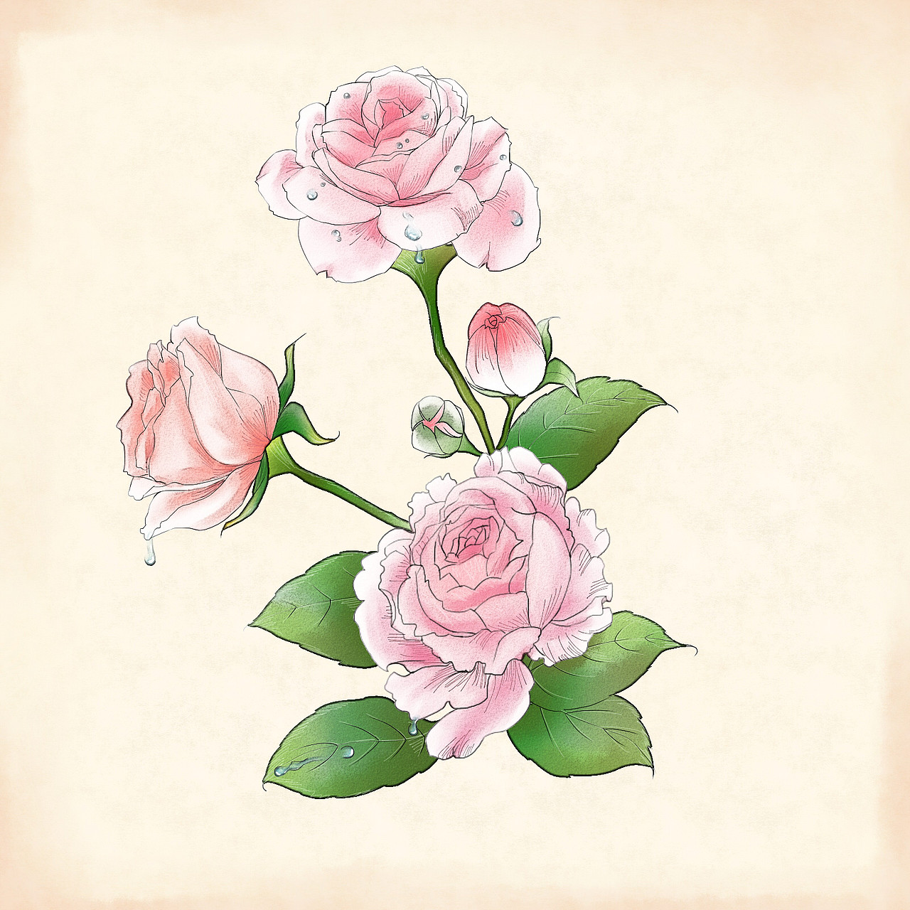 一些植物插画（图ZNDkxNjQzNDg=） - 商业插画 - 站酷设计师Ms西子西原创素材 - 站酷ZCOOL